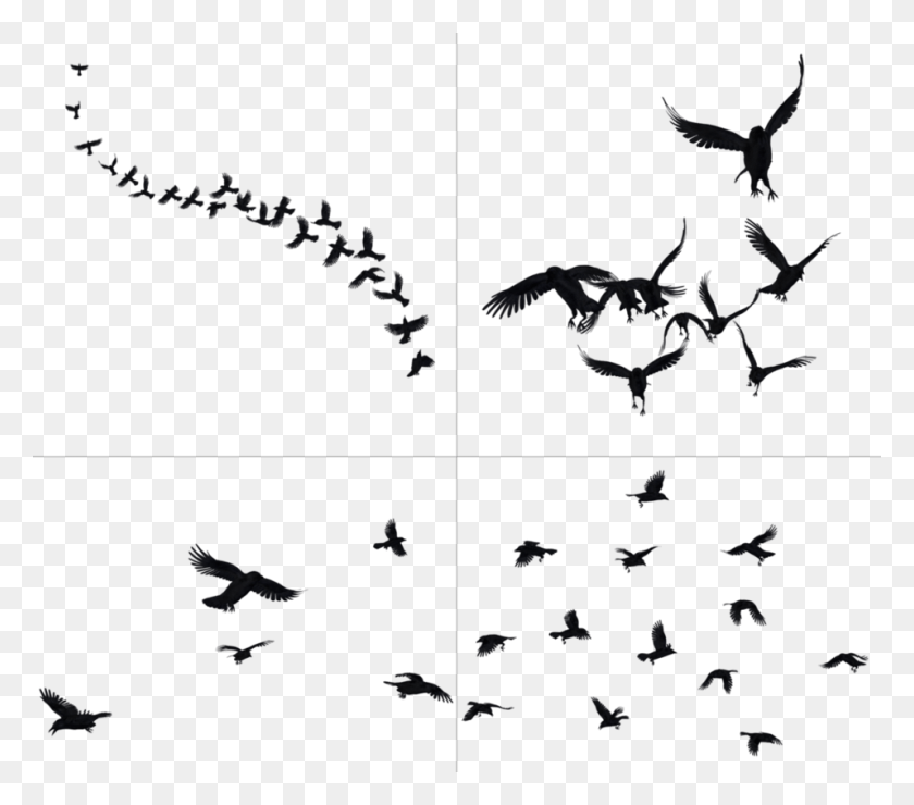 957x835 Flying Crows Crow, Коллаж, Плакат, Реклама Hd Png Скачать