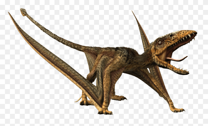 1087x627 Dinosaurio Volador Dimorphodon, Lagarto, Reptil, Animal Hd Png
