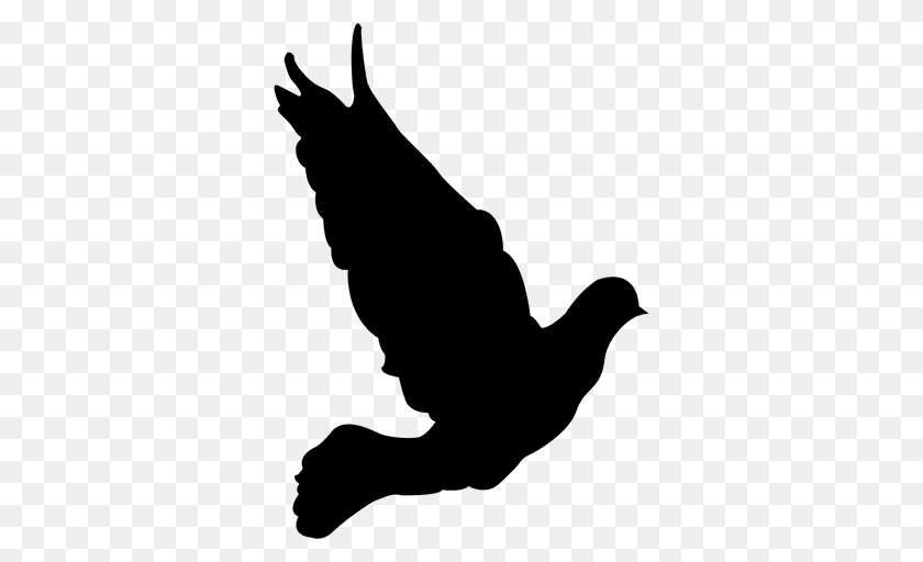 512x512 Flying Dove Sequence, Animal, Bird, Canine, Dog Transparent PNG