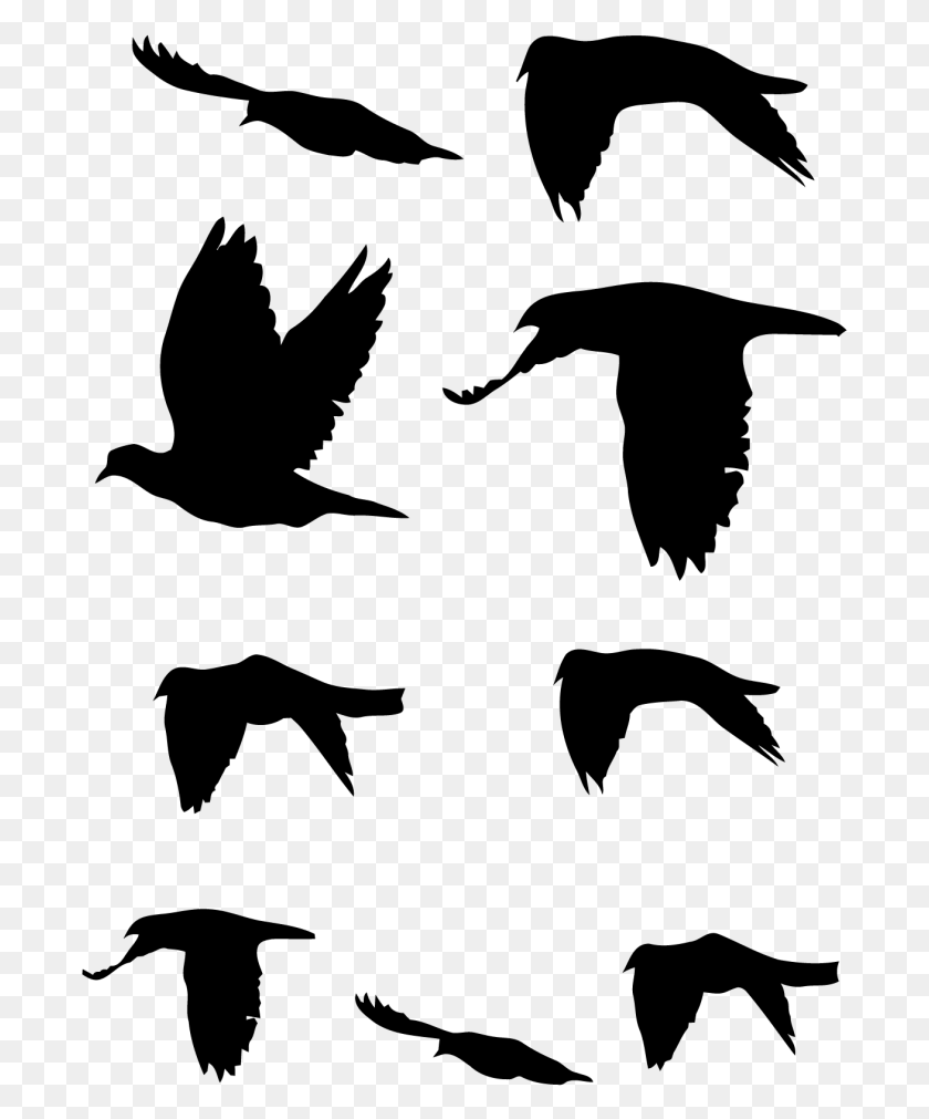 693x951 Flying Doves Decal Pack, Gray, World Of Warcraft HD PNG Download