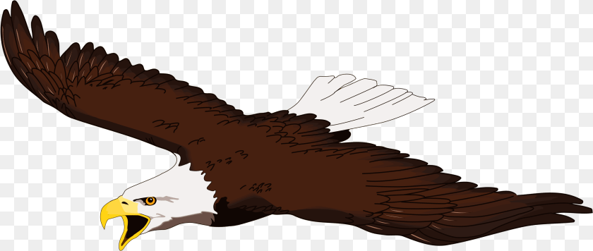 Flying Eagle Clip Art Clip Art Soaring Eagle, Animal, Bird, Beak, Bald Eagle Sticker PNG