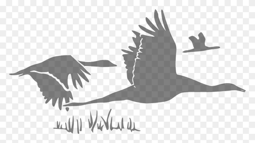1920x1011 Flying Geese Monochrome Drawing Best Quotes For Rumi, Bird, Animal HD PNG Download