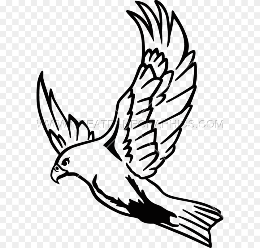Flying Hawk Drawing At Getdrawings Falcon Drawing, Lighting, Nature, Night, Outdoors Transparent PNG