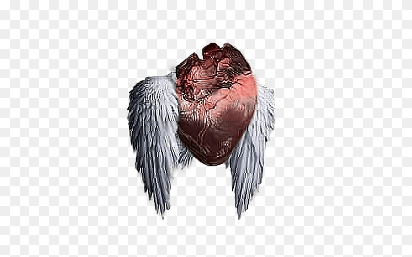392x464 Flying Heart Heartless Editing Heartless Editing, Animal, Bird, Waterfowl HD PNG Download