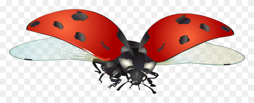 5873x2122 Flying Ladybug, Animal, Mammal, Graphics HD PNG Download