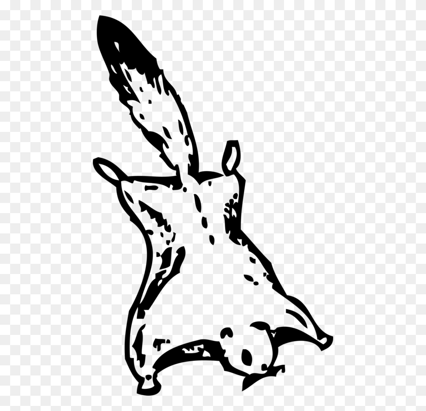 474x750 Flying Squirrel Coloring Book Drawing Clip Art Flying Squirrel, Gray, World Of Warcraft HD PNG Download
