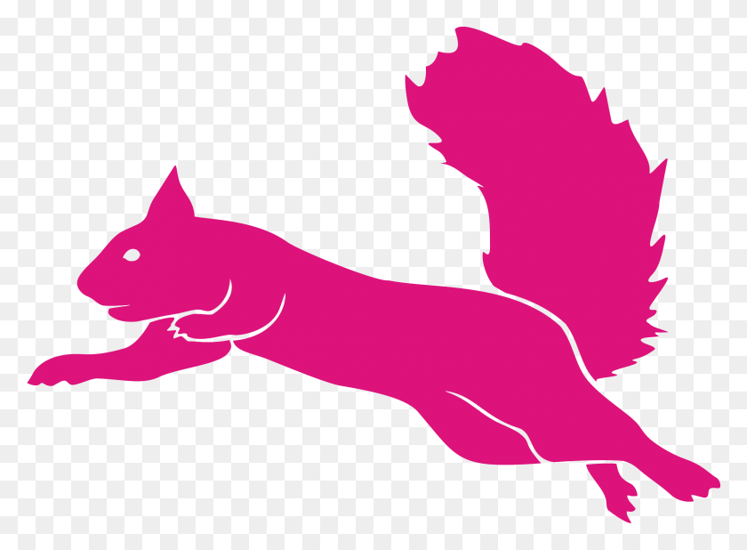 2373x1699 Flying Squirrel Guatemala Flying Squirrel Trampoline Park Logo, Animal, Mammal, Pet HD PNG Download