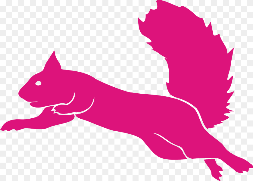 2373x1699 Flying Squirrel Guatemala Flying Squirrel Trampoline Park Logo, Silhouette, Animal, Kangaroo, Mammal Sticker PNG