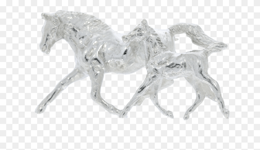 646x424 Potro, Caballo, Mamíferos, Animal Hd Png