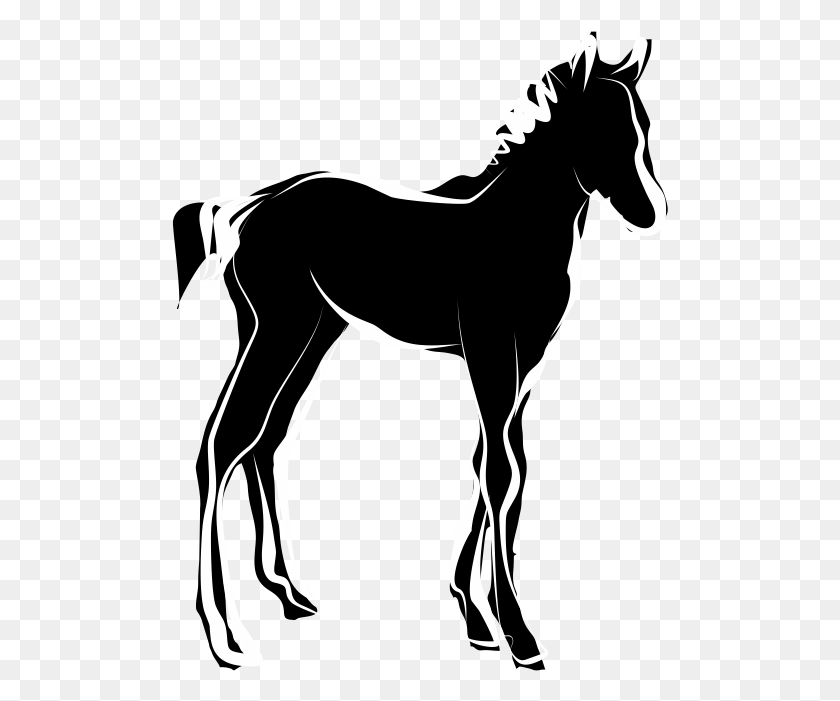 497x641 Foal Site Icon Foal Icon, Animal, Mammal, Antelope HD PNG Download