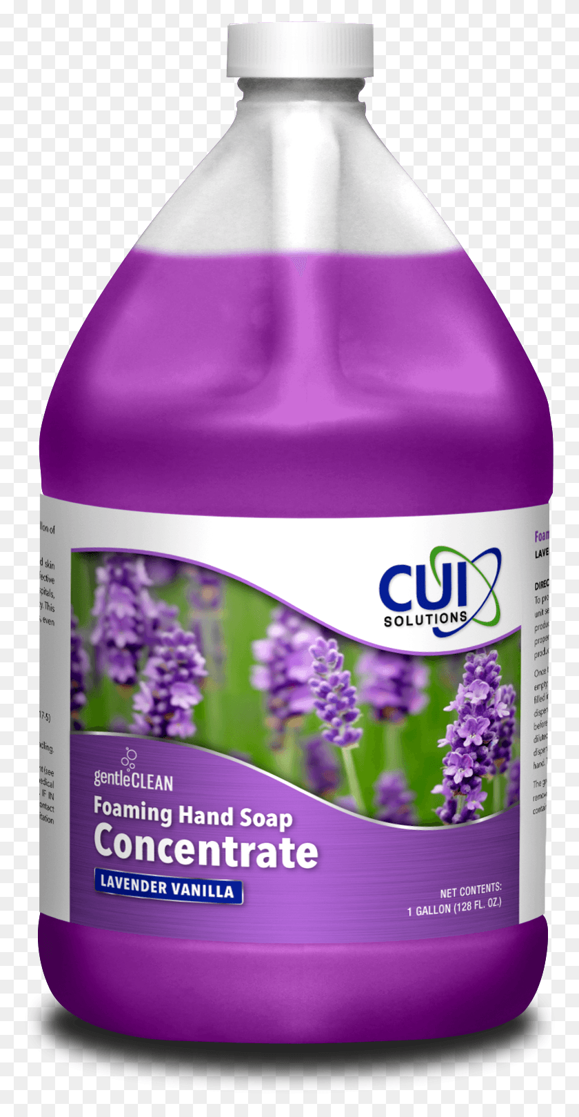 778x1559 Foam Soap Conc Lavender Vanilla Lnl Fernleaf Lavender, Plant, Flower, Blossom HD PNG Download