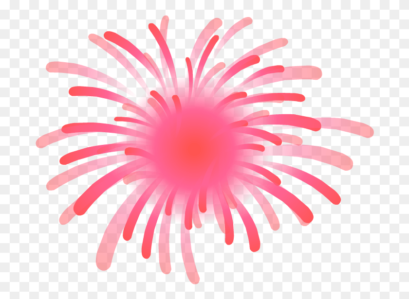 696x555 Fogos De Artificio Морской Анемон, Пыльник, Цветок, Растение Hd Png Скачать
