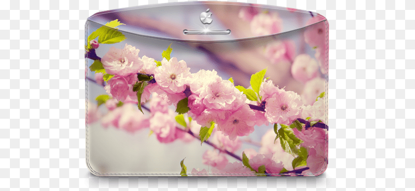 504x386 Folder Nature Cherry Tree Icon Darktheme Iconset Cherry Blossom, Flower, Petal, Plant, Cherry Blossom PNG