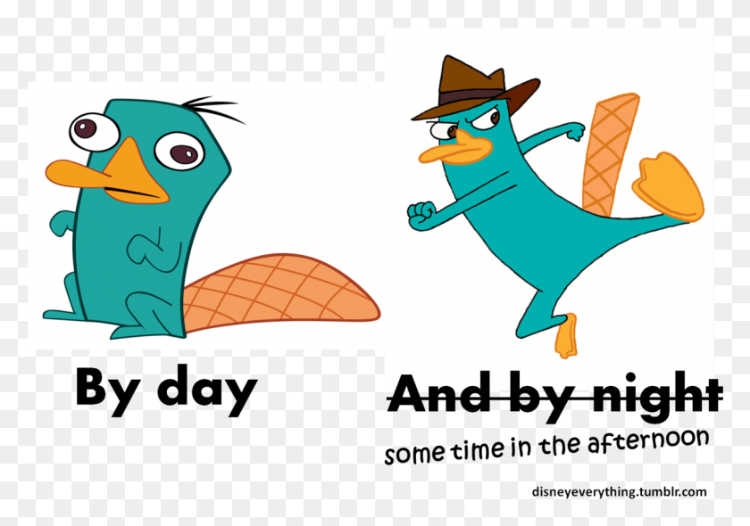 1208x822 Follow For More Disney39s Phineas And Ferb Agent P Perry The Platypus Drawing, Clothing, Apparel, Angry Birds HD PNG Download