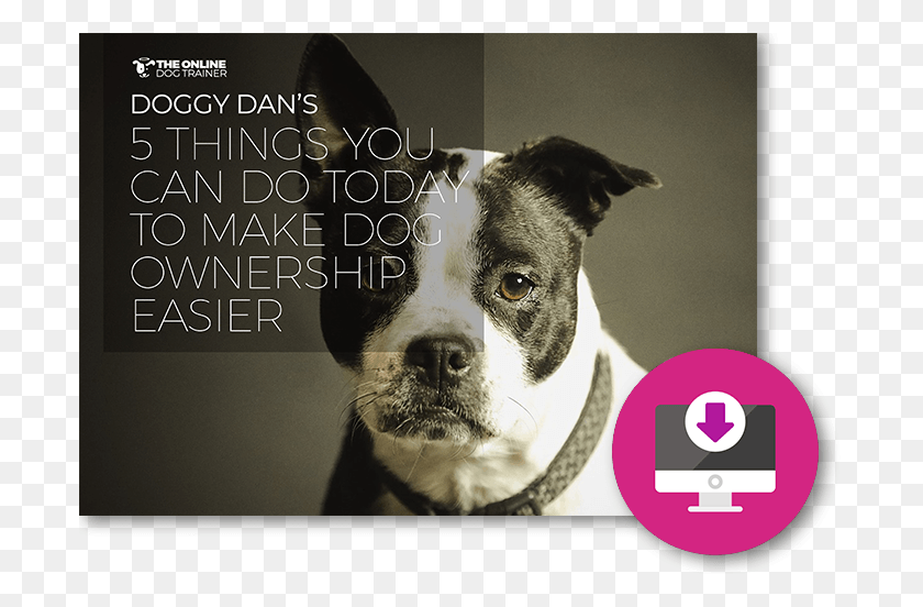 695x492 Follow Through On The Recommendations I Provide In Baby Pet Quote, Dog, Canine, Animal HD PNG Download