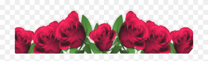 721x186 Descargar Png Fondo De Rosas Marcos Para Fotos De Flores, Planta, Rose, Flor Hd Png