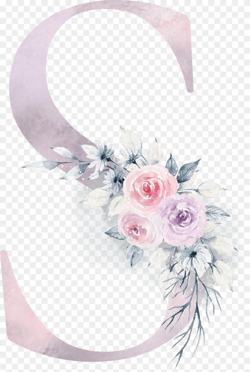 Fondos De Pantalla Nombre Sara, Art, Plant, Pattern, Graphics PNG