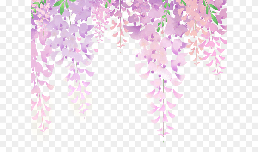 Fondos Para Banners De Flores, Purple, Plant, Flower, Petal PNG