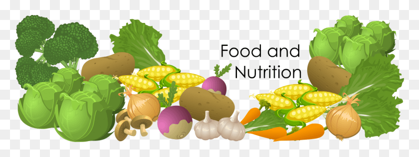 1218x399 Food And Nutrition, Turnip, Produce, Vegetable HD PNG Download