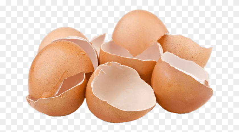 666x406 Food Eggshells Kulit Telur, Egg, Peel, Person HD PNG Download