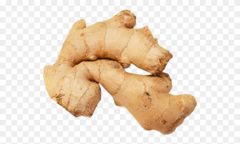 544x445 Food Ginger Ginger Root, Plant, Fungus HD PNG Download