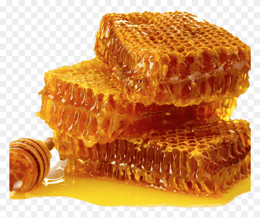 3001x2472 Food Honey Honey Day, Honeycomb, Fungus HD PNG Download