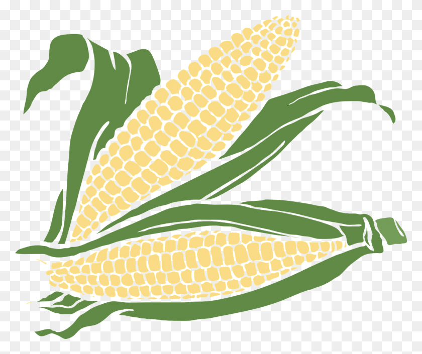 1280x1060 Food Illustrations Free On Corn Clip Art, Plant, Vegetable, Banana HD PNG Download
