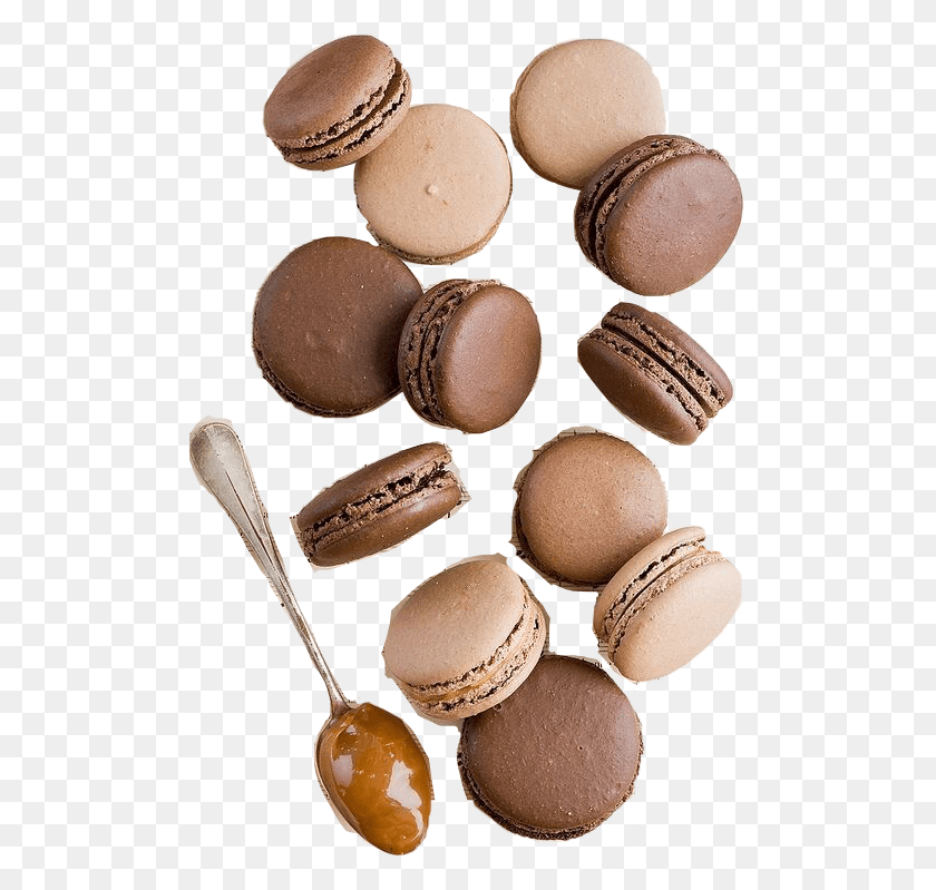 499x739 Chocolate Png