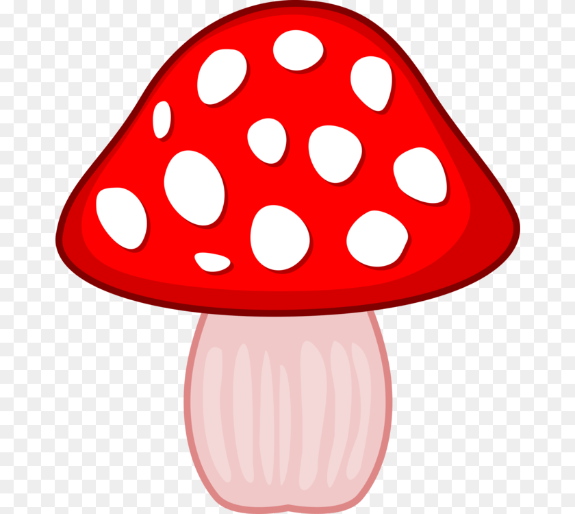 Food Mushroom Technical Support, Agaric, Fungus, Plant, Ketchup Transparent PNG
