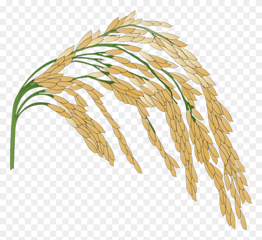 1461x1331 Логотип Рисовой Еды На Прозрачном Фоне, Растение, Зерно, Продукты Hd Png Скачать
