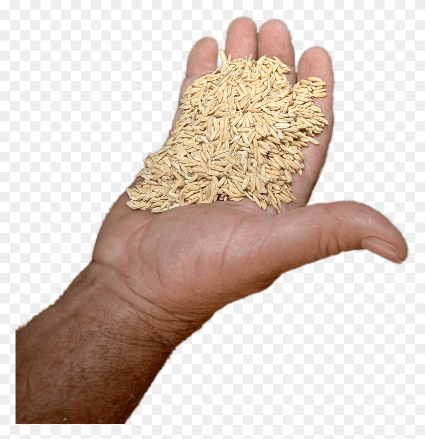 1252x1297 Еда Рисовая Пшеница, Человек, Человек, Палец Hd Png Скачать