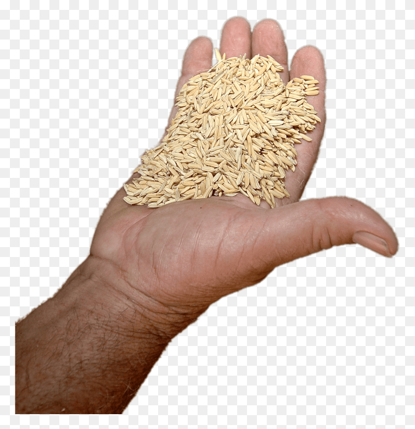 1252x1297 Food Rice Wheat, Person, Human, Finger HD PNG Download