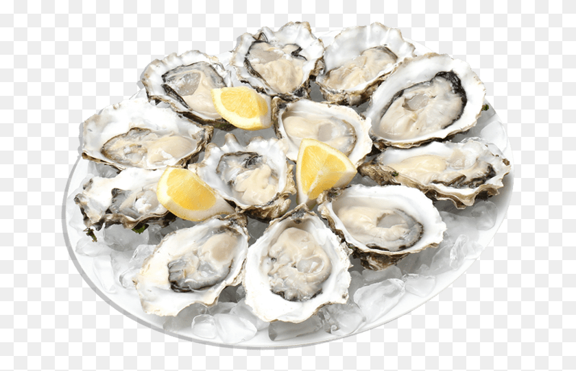 662x482 Food Seafood Oysters, Invertebrate, Animal, Sea Life HD PNG Download