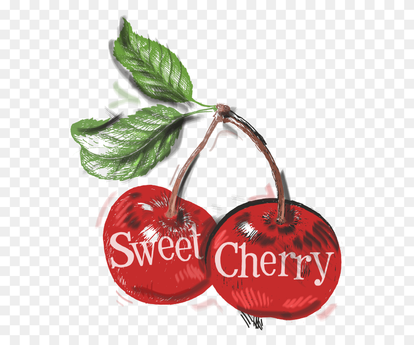 556x640 Food Vector Cherry, Plant, Fruit, Pineapple HD PNG Download