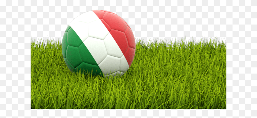 641x325 Football In Grass Saudi Flag On Football, Soccer Ball, Ball, Soccer HD PNG Download