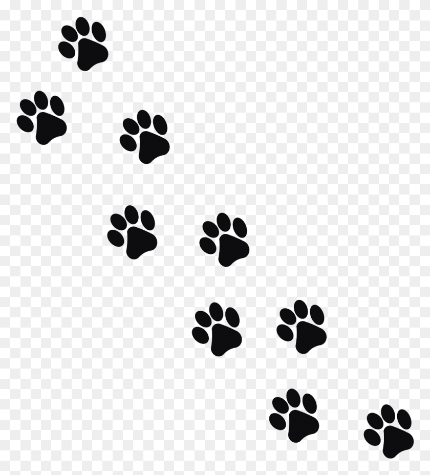 962x1071 Footprint Animal Cat Image Cat, Passport, Id Cards, Document HD PNG Download