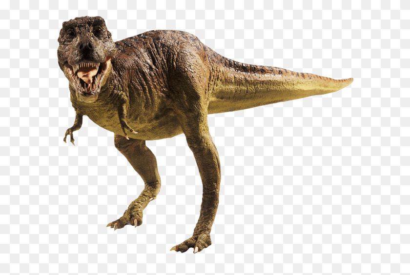 610x504 Huellas De Reserva, Ransel Tiranossauro Rex, T-Rex, Dinosaurio, Reptil Hd Png