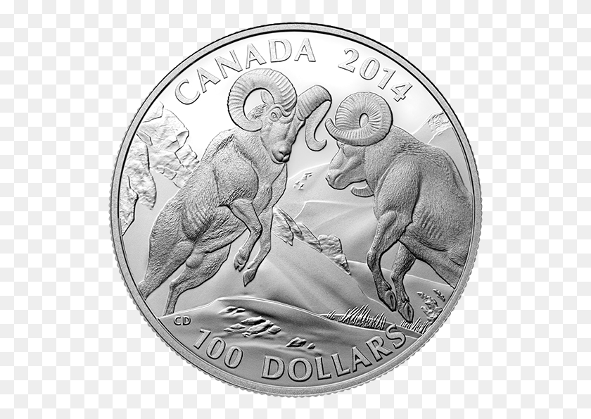 533x535 Por 100 Borrego Cimarrón Moneda De Plata Fina Moneda De 100 Dólares Canadienses, Dinero, Elefante, La Vida Silvestre Hd Png