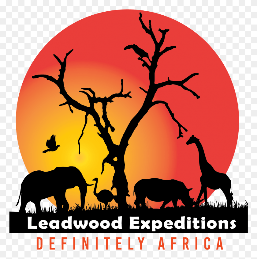 1601x1613 Descargar Png Para Un Safari Clásico Nada Mejor Que Kenia Safari Leadwood Expeditions, Planta, Árbol, Cartel Hd Png