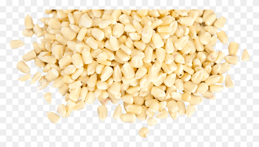 906x485 Семена Белой Кукурузы, Растения, Еда, Овощи Hd Png Скачать