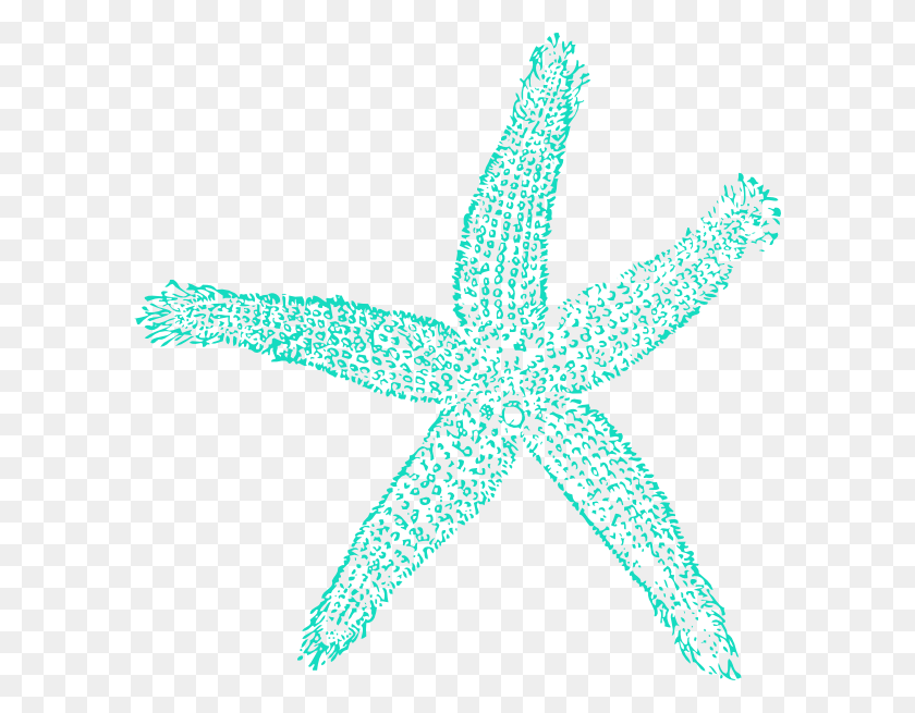 594x595 For Free Starfish In High Resolution Blue Starfish Clipart, Vida Marina, Animal, Invertebrado Hd Png