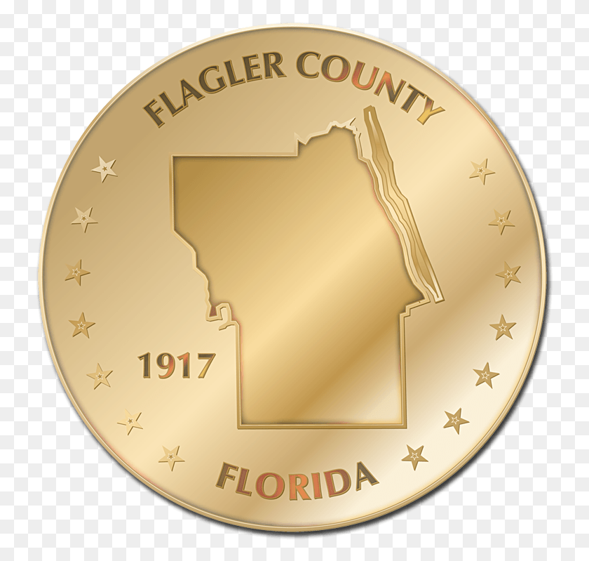 739x739 For Help With Maps Or Deciding Which Format Of Circle, Gold, Coin, Money HD PNG Download