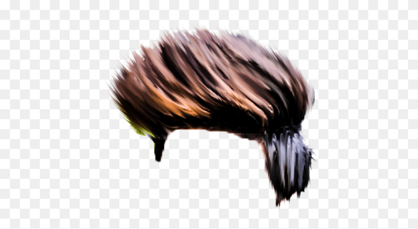 467x401 For More Cb Hair In High Quality Plz Click Cb Hair For Picsart, Bird, Animal, Mammal HD PNG Download