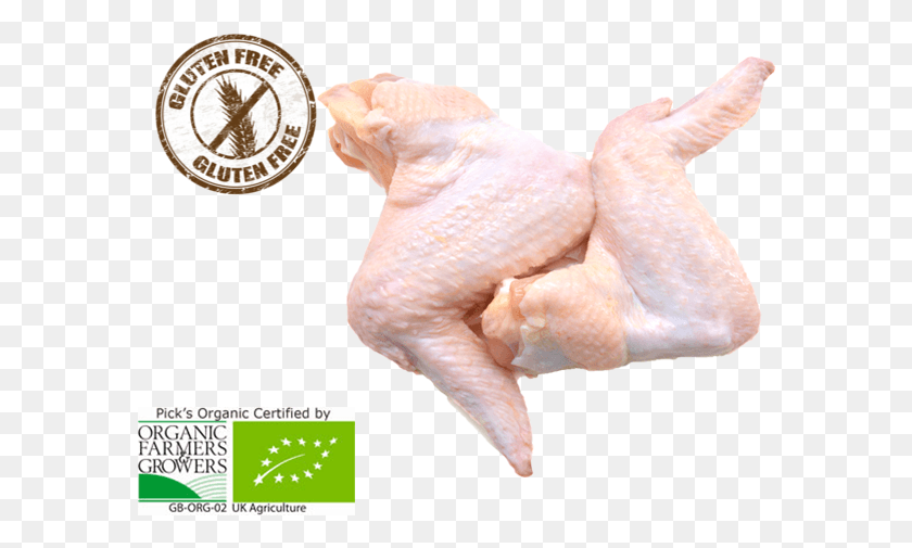 588x445 For More Ideas Once You Have Finished Buying Why Sayap Ayam, Animal, Sea Life, Person HD PNG Download