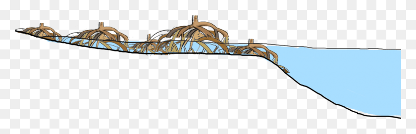 1050x285 For More Information About Mangrove Loss Please Click Burr Truss, Building, Face, Architecture HD PNG Download