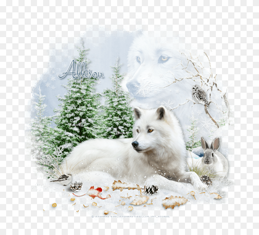 700x700 For My Tag With Wolf I Used Kits By Newlife Dreams Canis Lupus Tundrarum, Mammal, Animal, Dog HD PNG Download