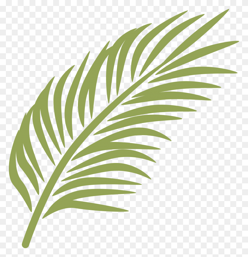 2550x2646 For Palm Fronds Clip Art, Leaf, Plant, Pineapple Descargar Hd Png