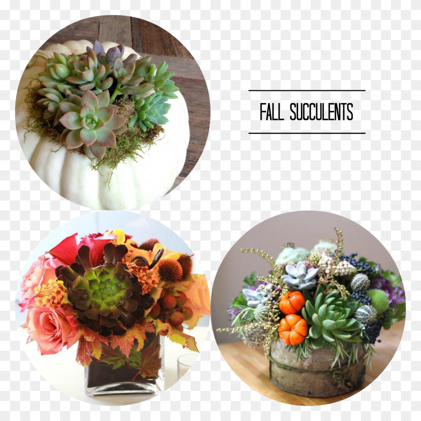 1600x1600 For Some Inspiration For Fall Florals Or Just Floral White Pumpkin With Succulents, Meal, Food, Plant HD PNG Download