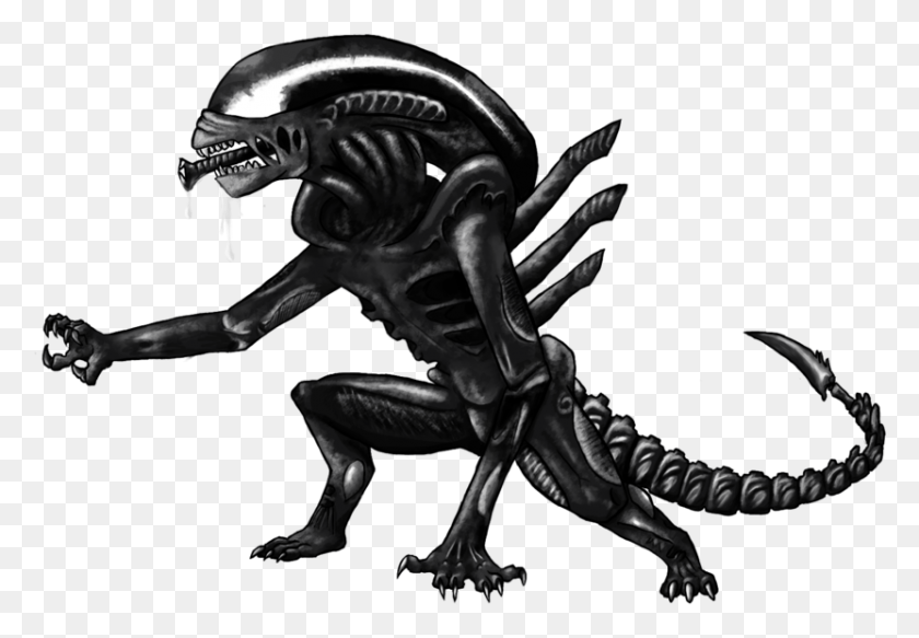 831x558 For Xenomorph Transparent Background, Alien, Person, Human HD PNG Download