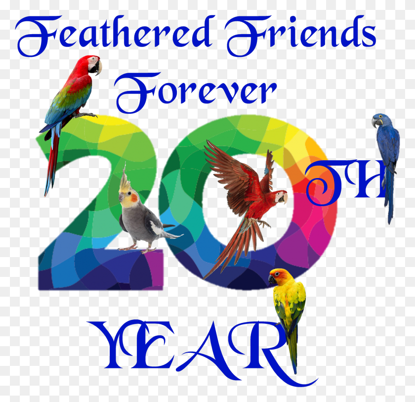1897x1832 For Years We Have Taken The Care And Welfare Of Our Parakeet, Bird, Animal, Advertisement Descargar Hd Png